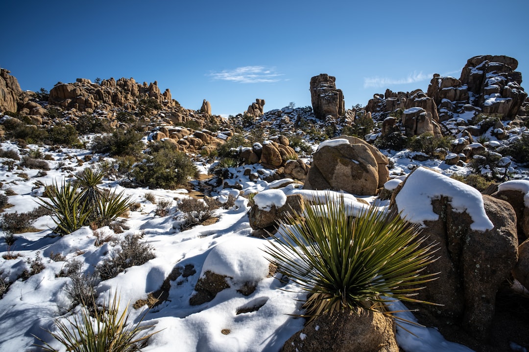 rocky mountain photograph