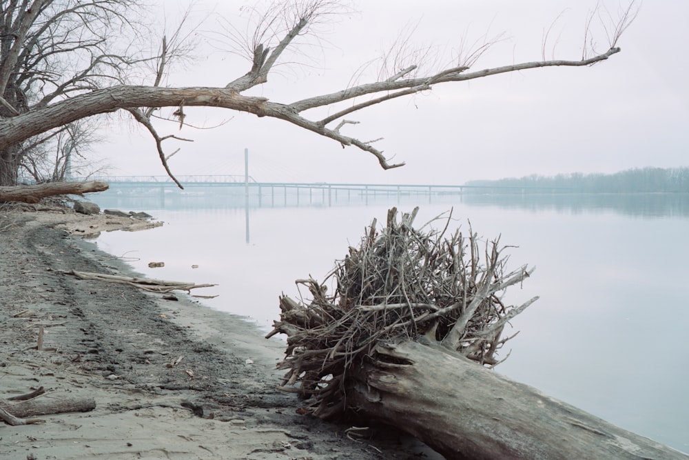 body of water photograph