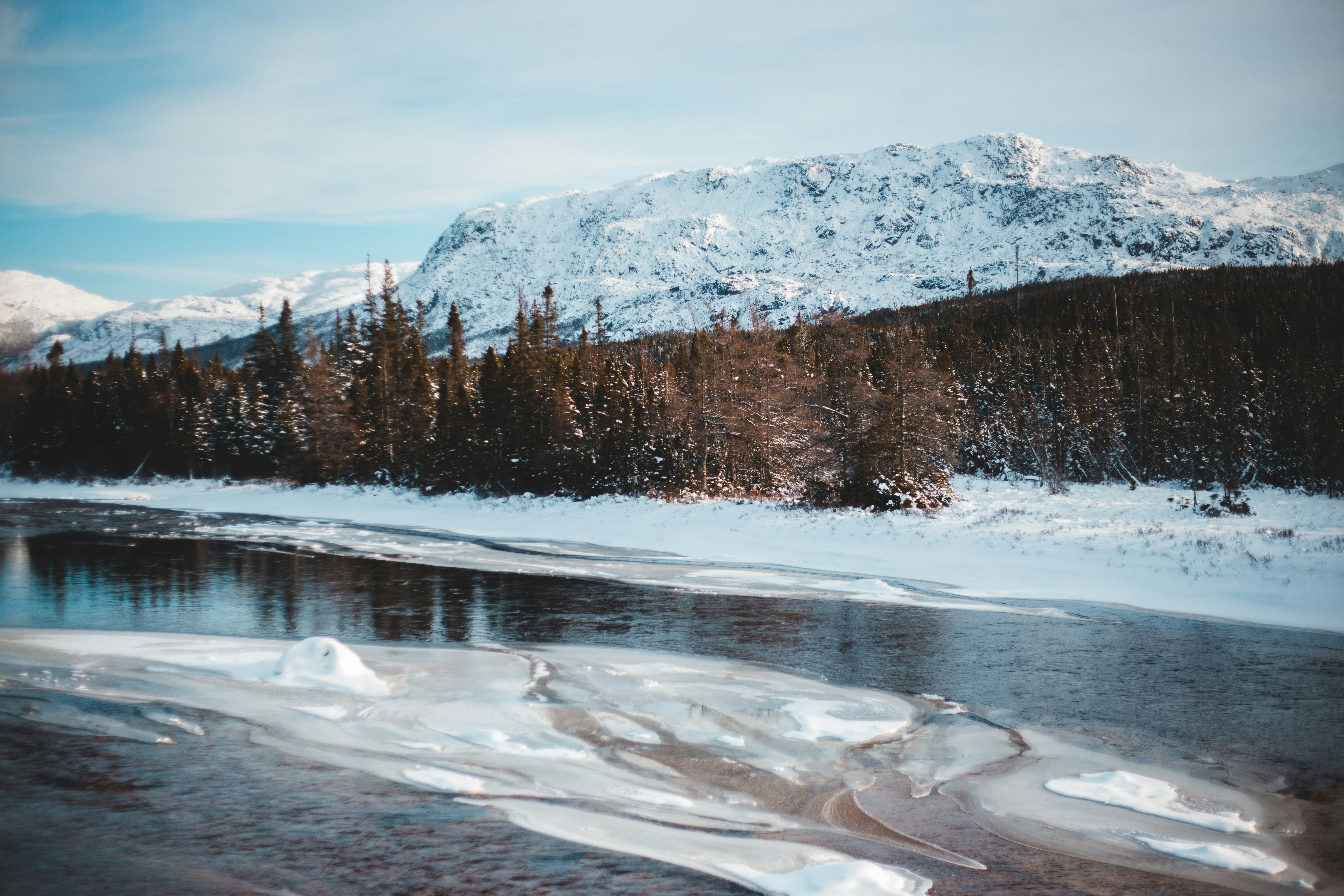 Photo by introspectivedsgn