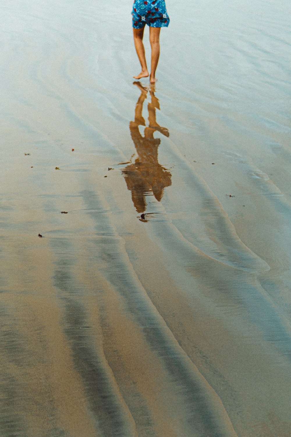 person walking on seashore