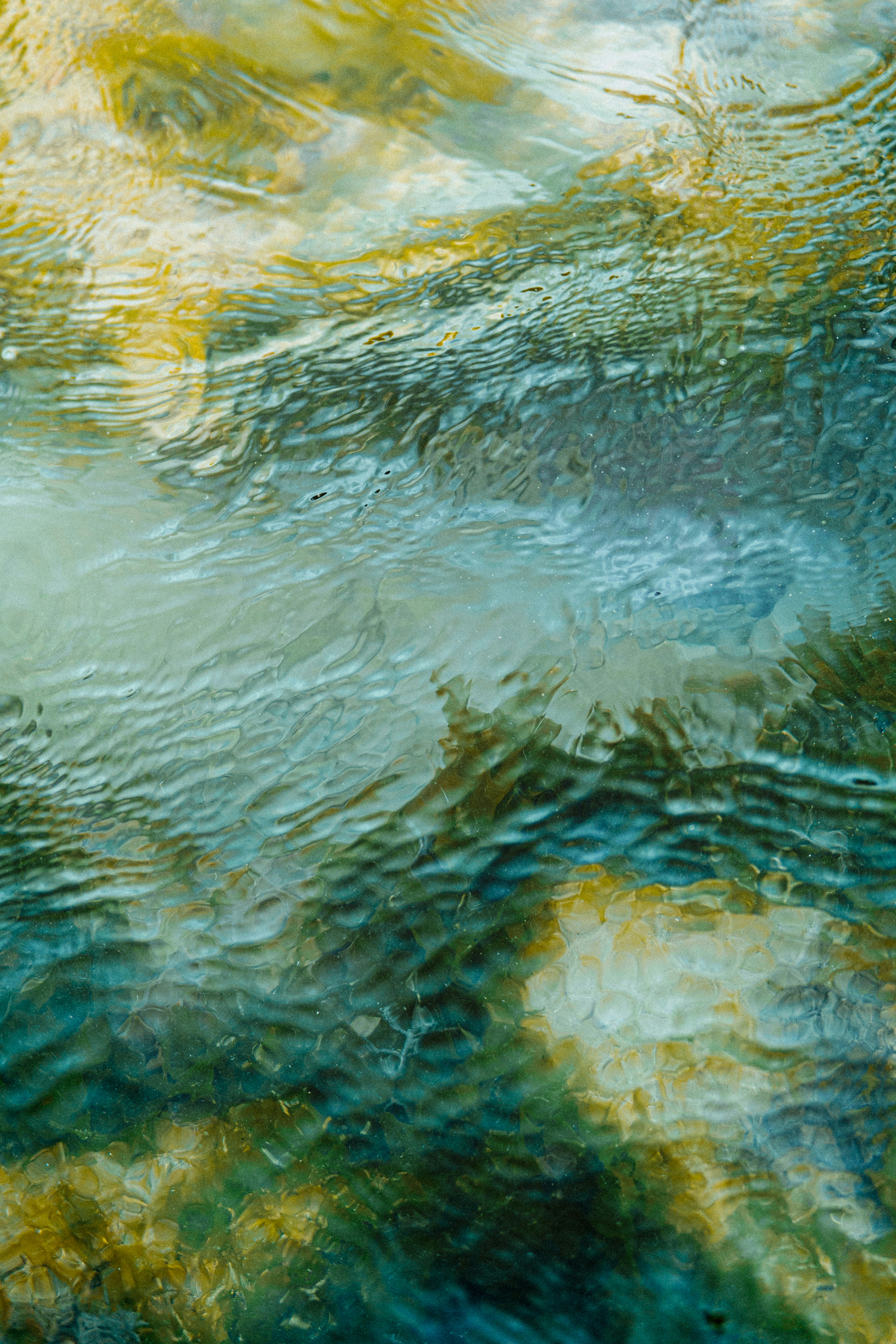 The Minimum Effective Dose for Every Life Domain