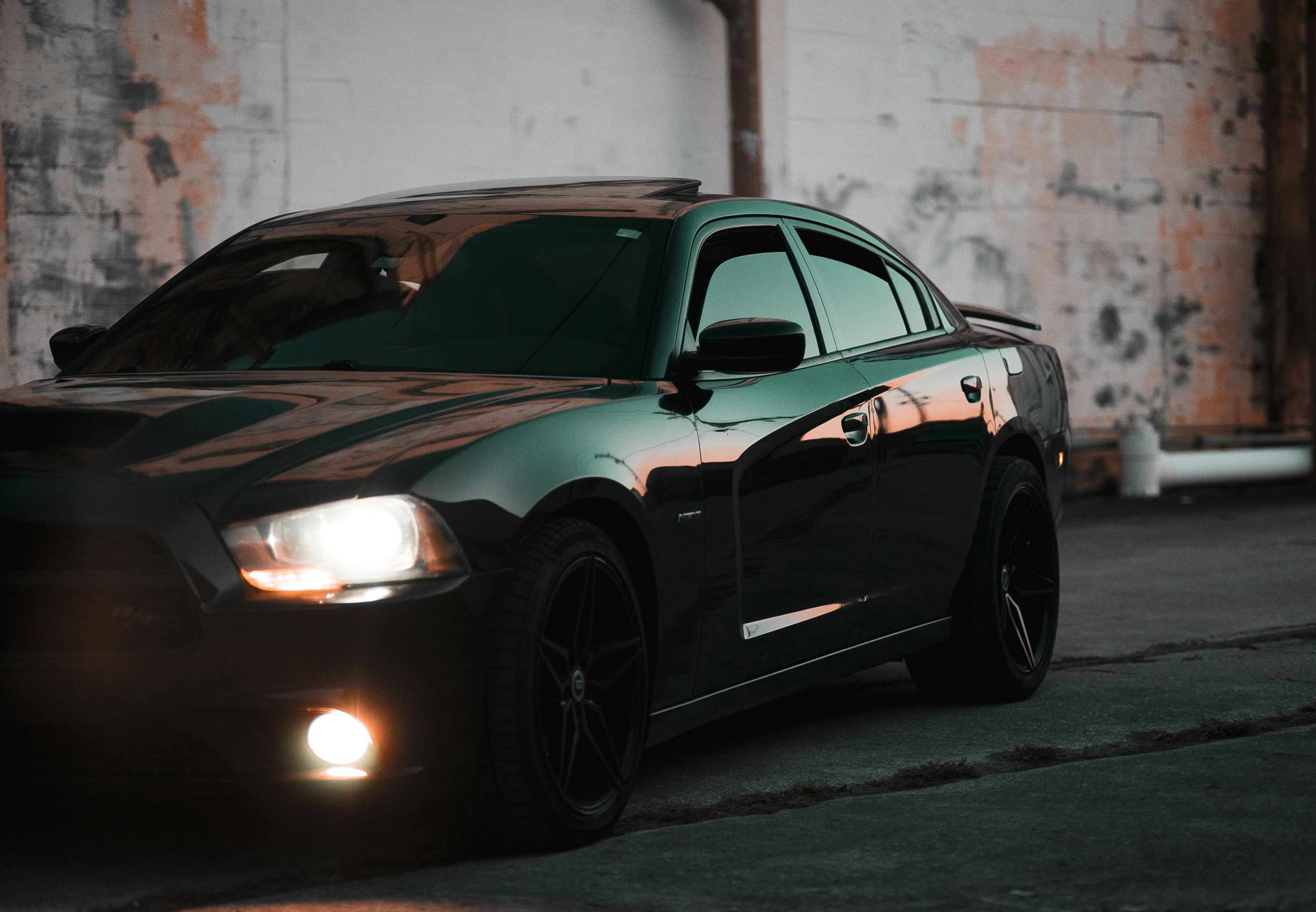 Photo by 535_productions