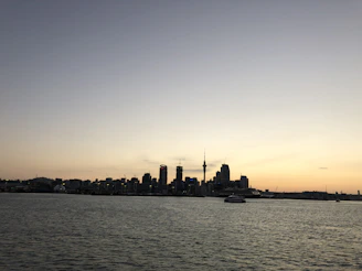 Courier driver handing over a package in front of Albany city skyline during sunset.