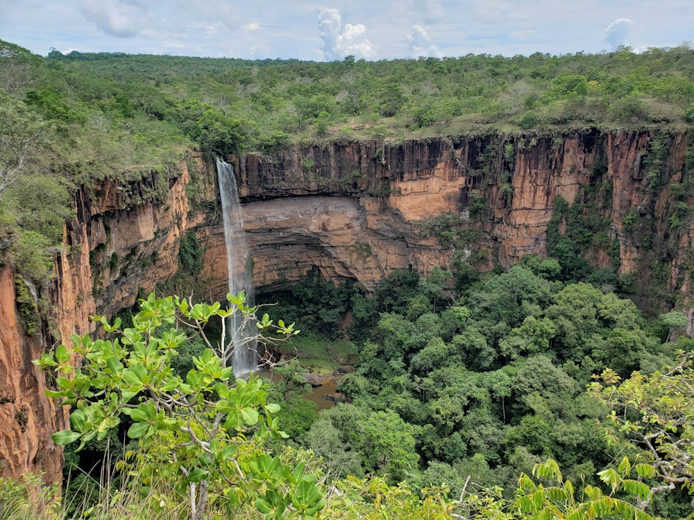 waterfalls surrounded by green trees