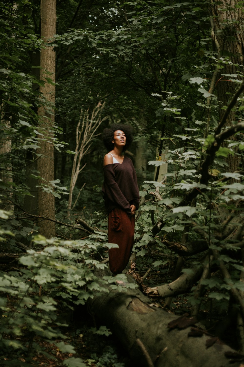 shallow focus photo of person in brown long-sleeved shirt