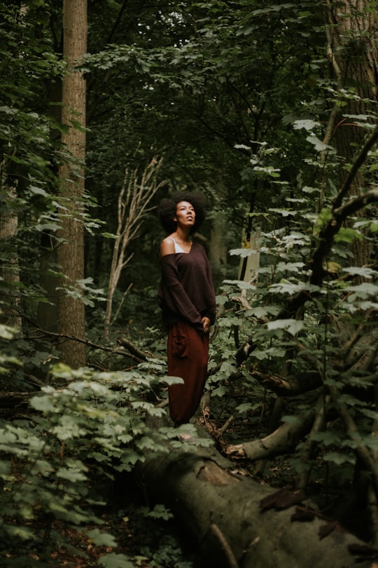 shallow focus photo of person in brown long-sleeved shirt in Staelduinse Bos Netherlands