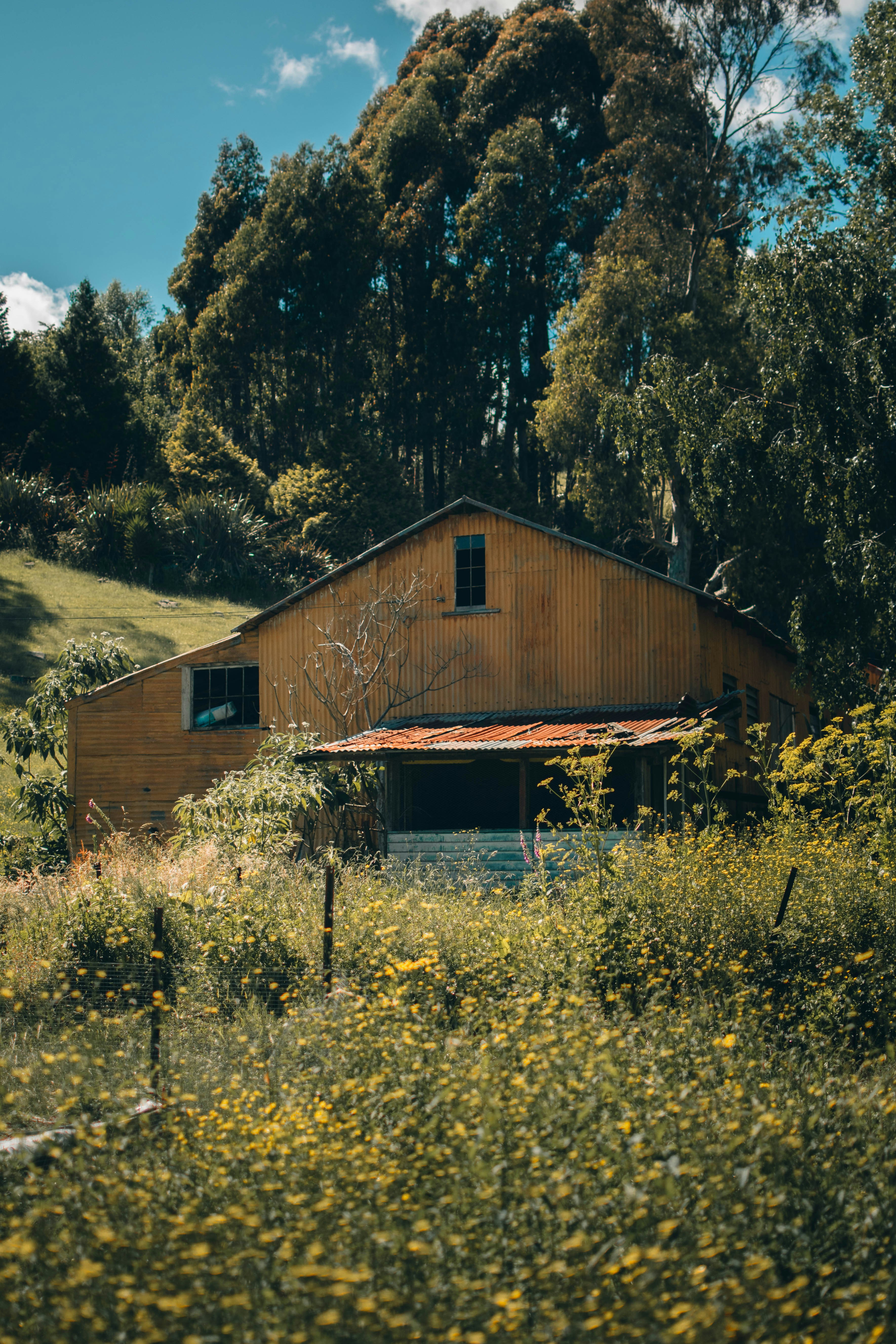 Photo by josiahfarrow