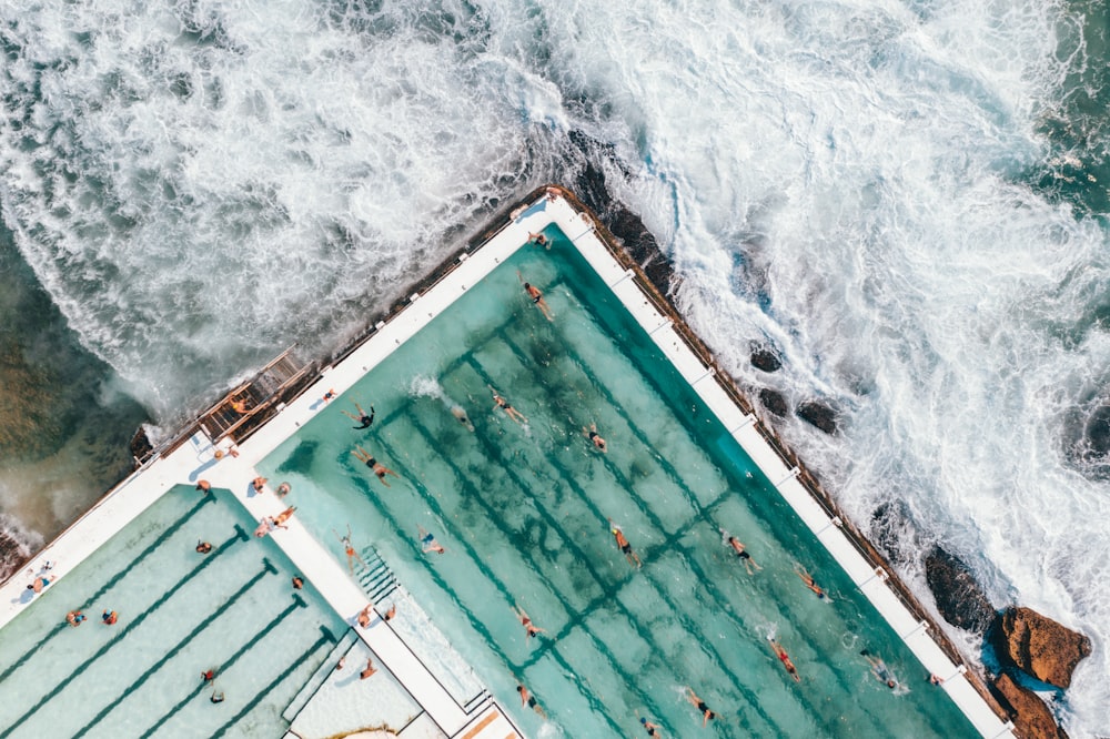 aerial photography of people swimming in a swimming pool