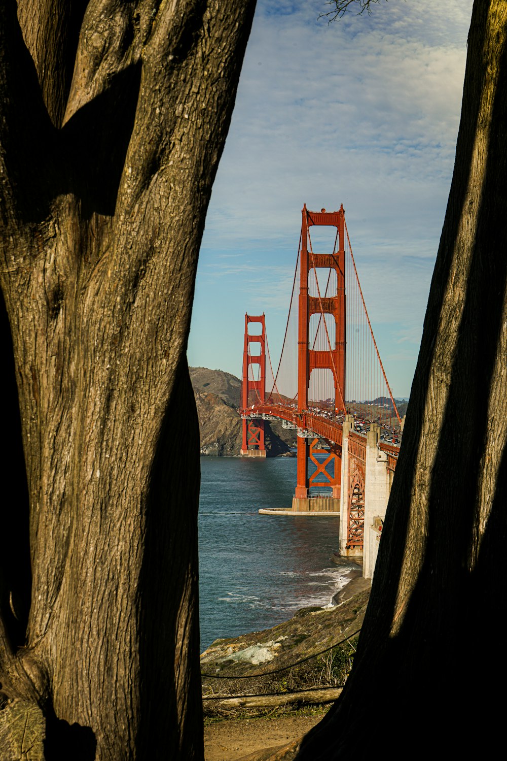shallow focus photo of Golden Gate Bridge
