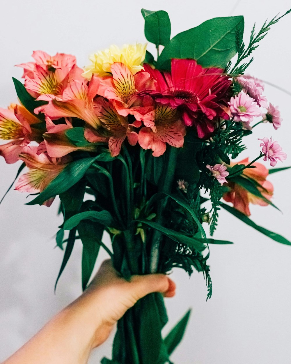 pink, yellow, and red petaled flowers