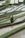 man on grass terraces