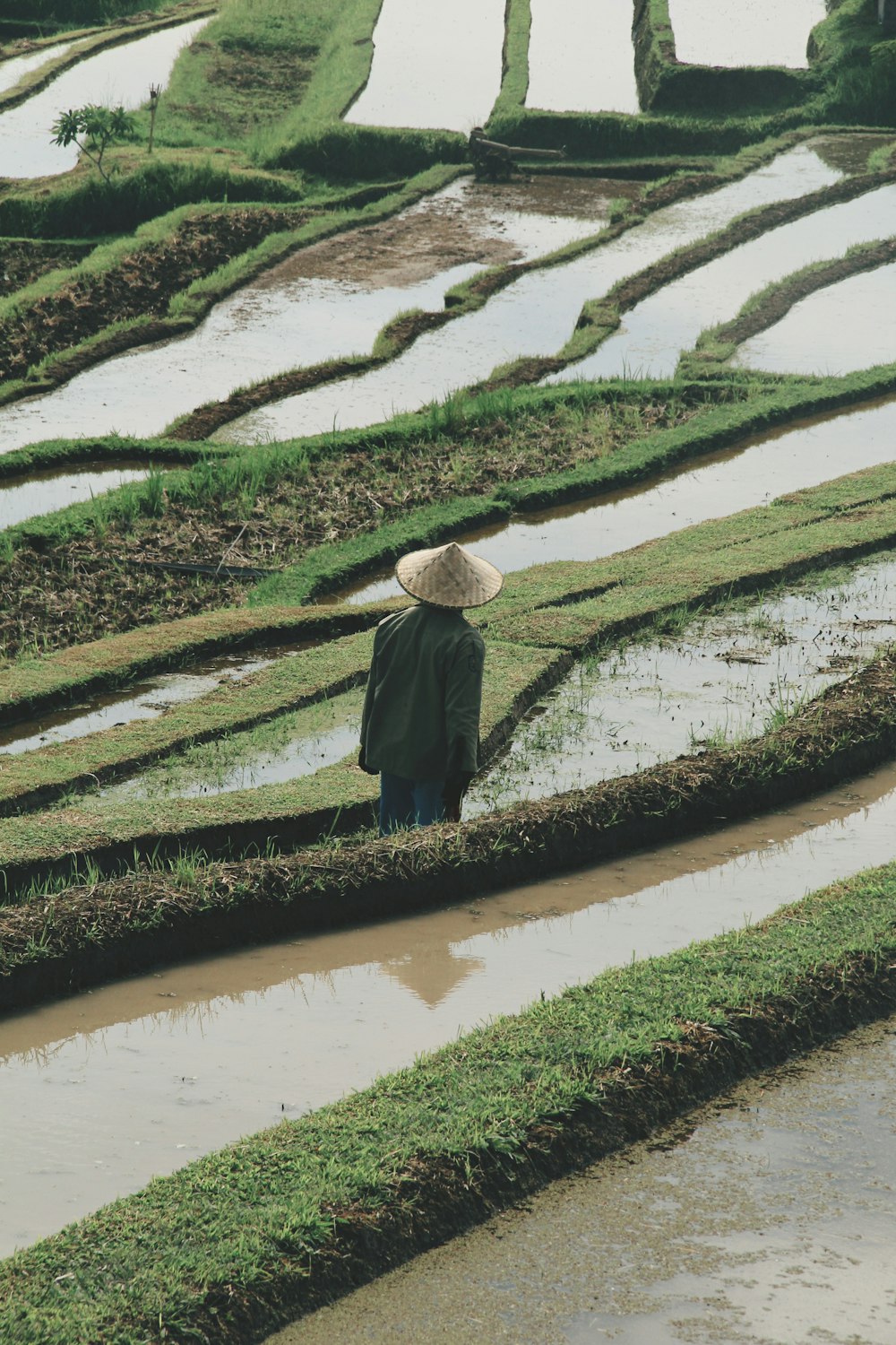 man on grass terraces