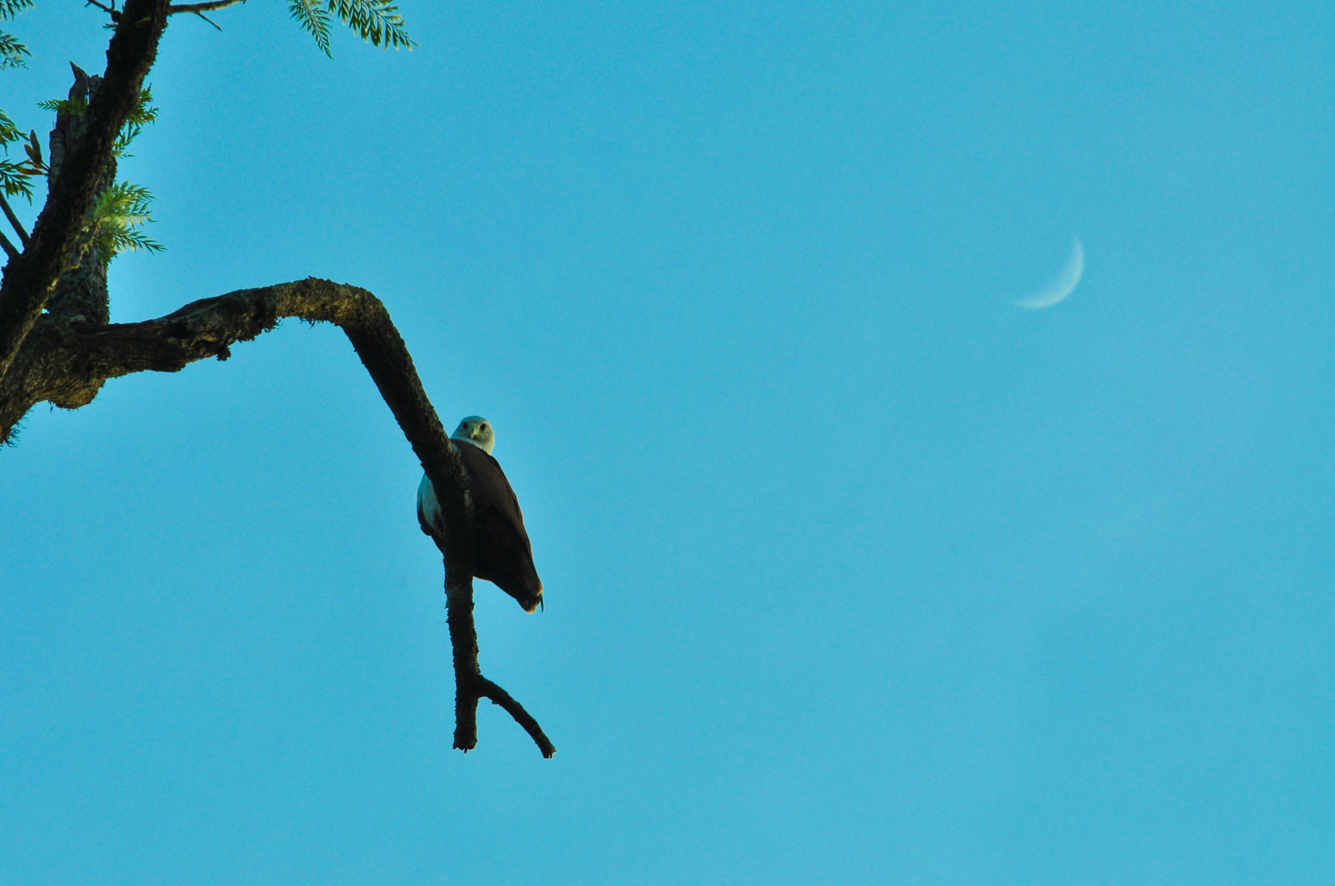 Photo by wilsanphotography