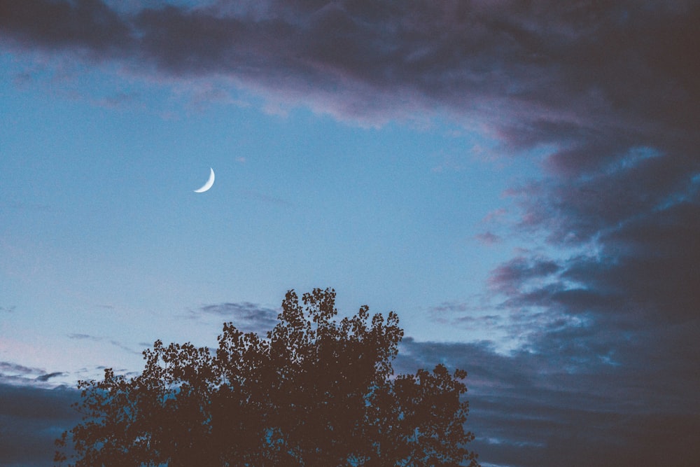 crescent moon photograph