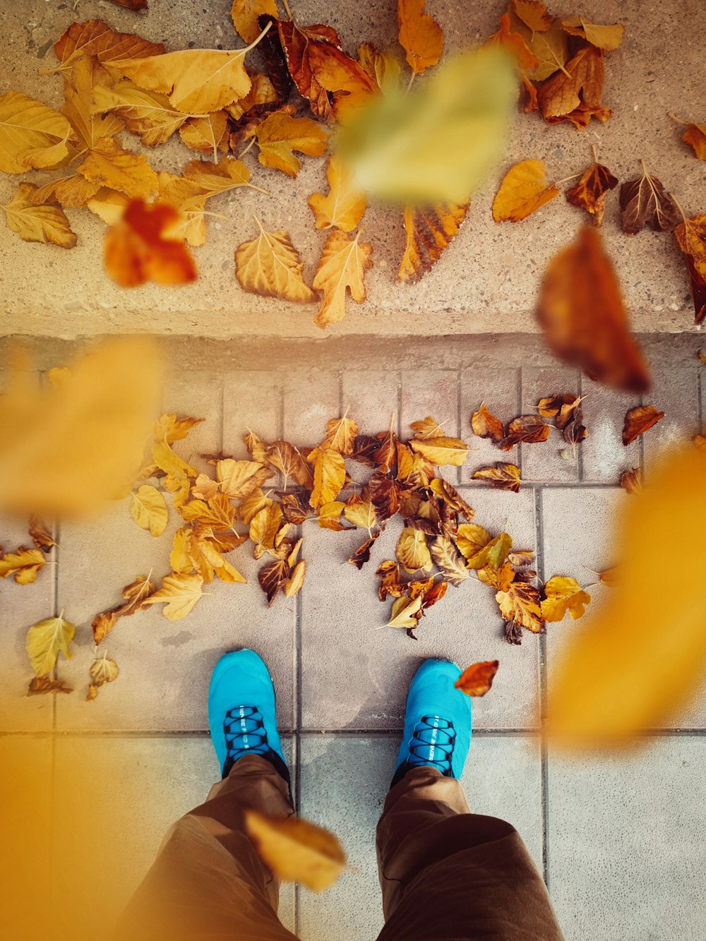 person standing beside yellow and brown leaves