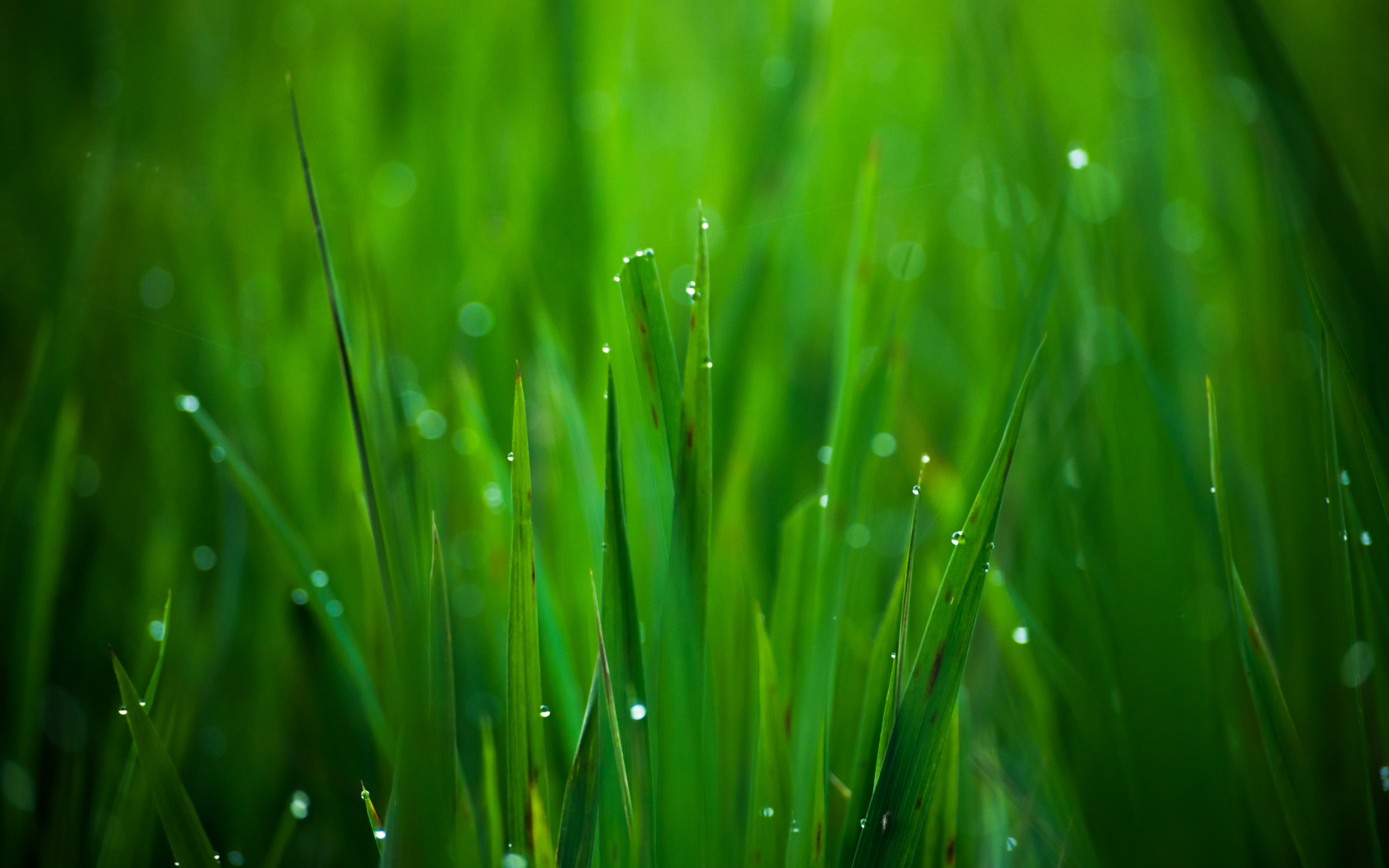 Photo by iammunukutla