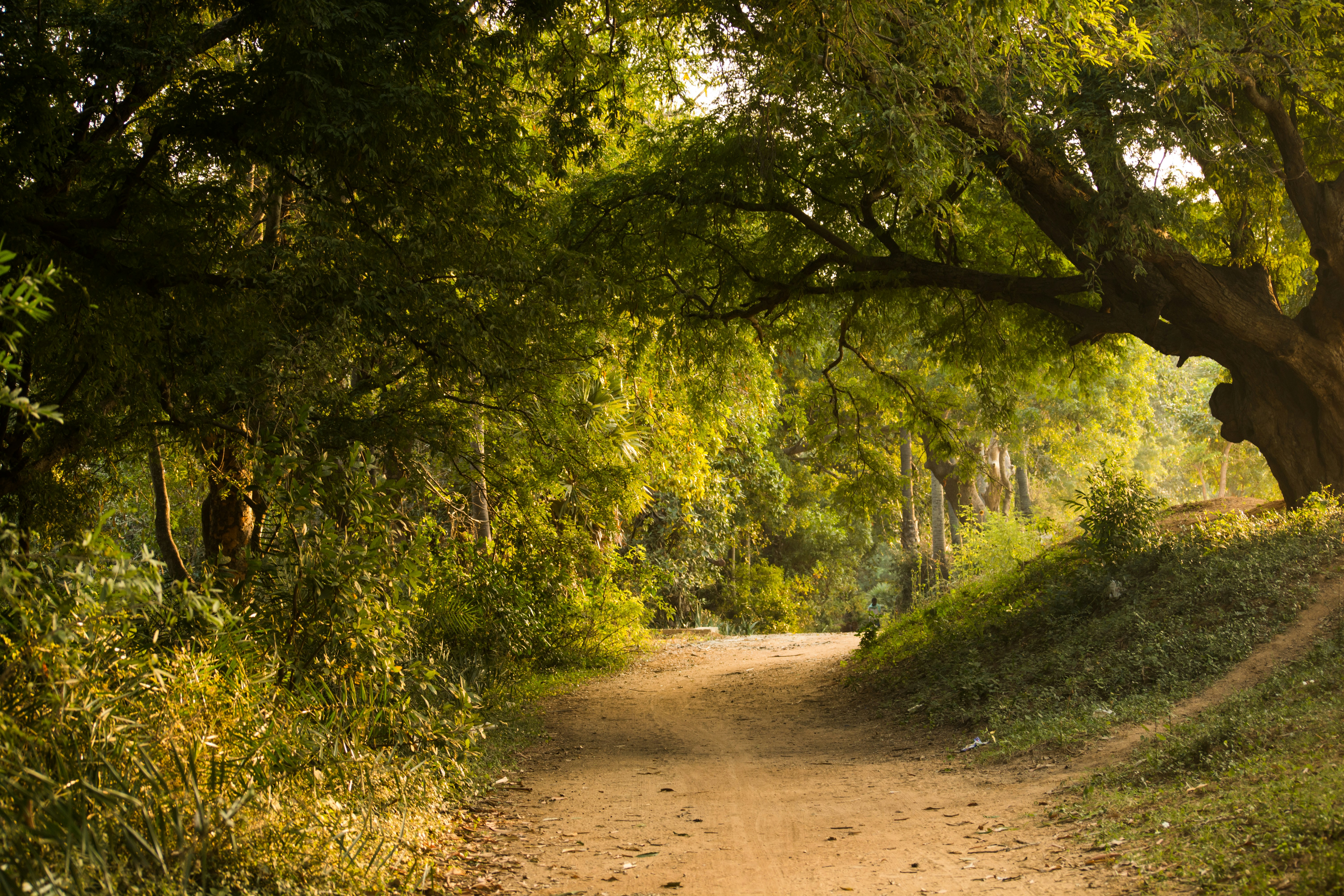 Photo by iammunukutla