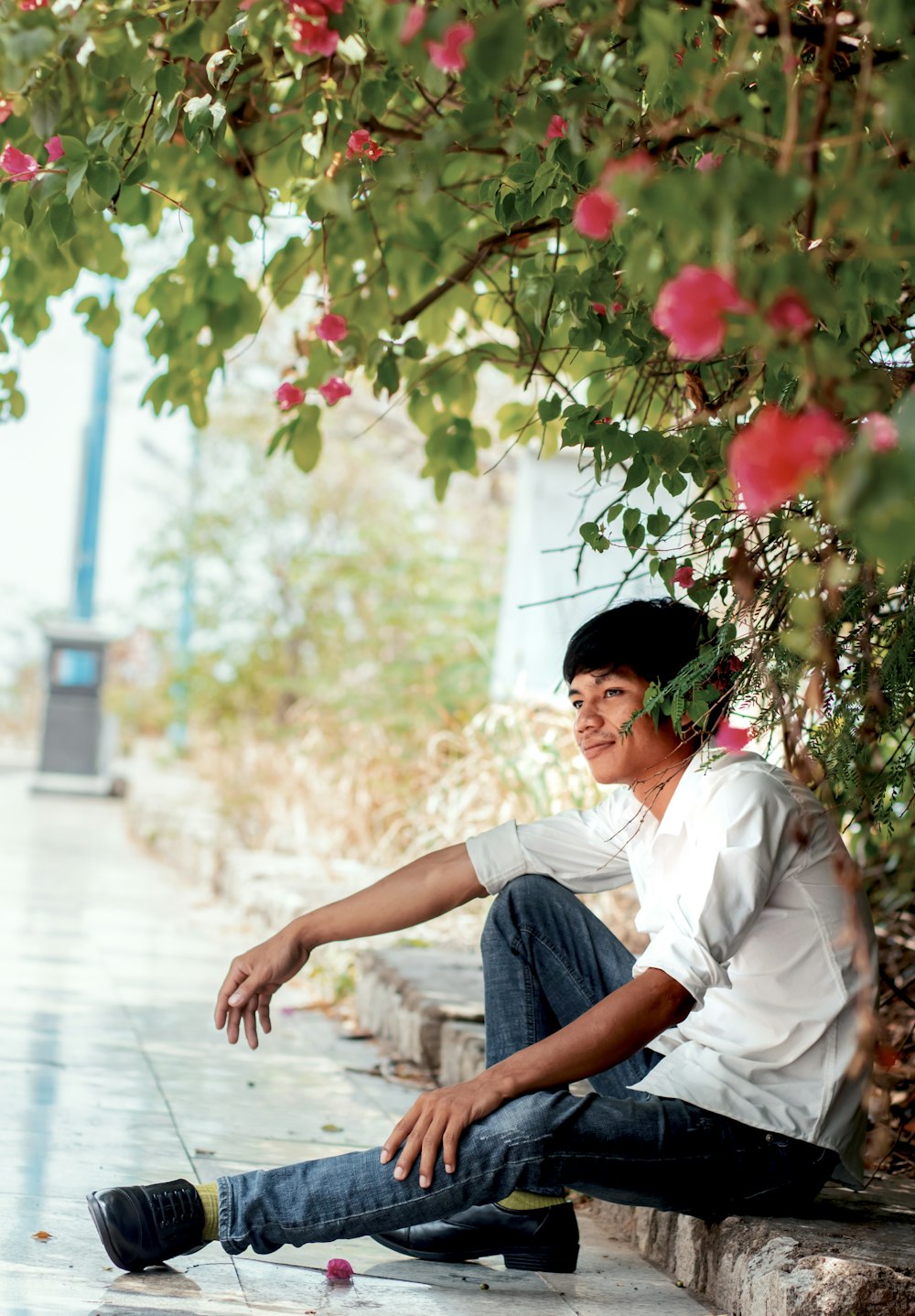 man sitting on gutter under bougainvillea flowers