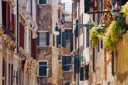 photo of Venezia Mestre Town near Venice