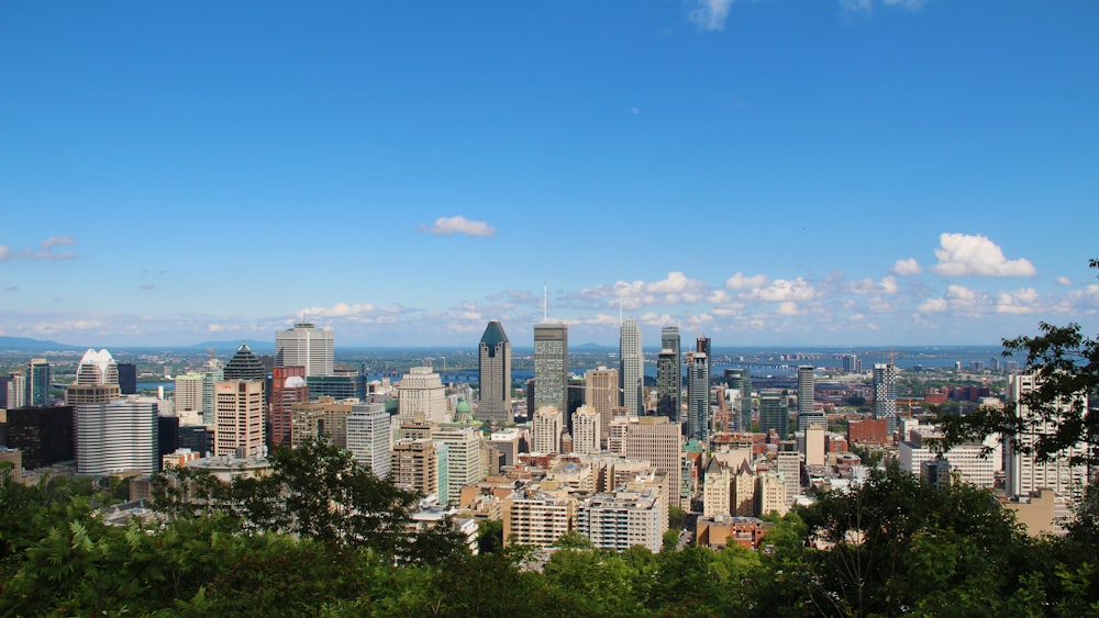 aerial view of city buildings during daytime