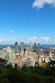 aerial photo of cityscape during daytime