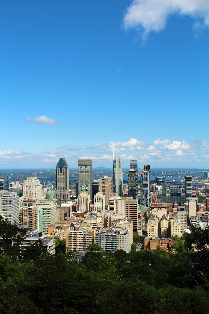 Social media management companies in Montreal compared for 2026