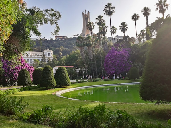 Discover Algiers: A Comprehensive Travel Guide