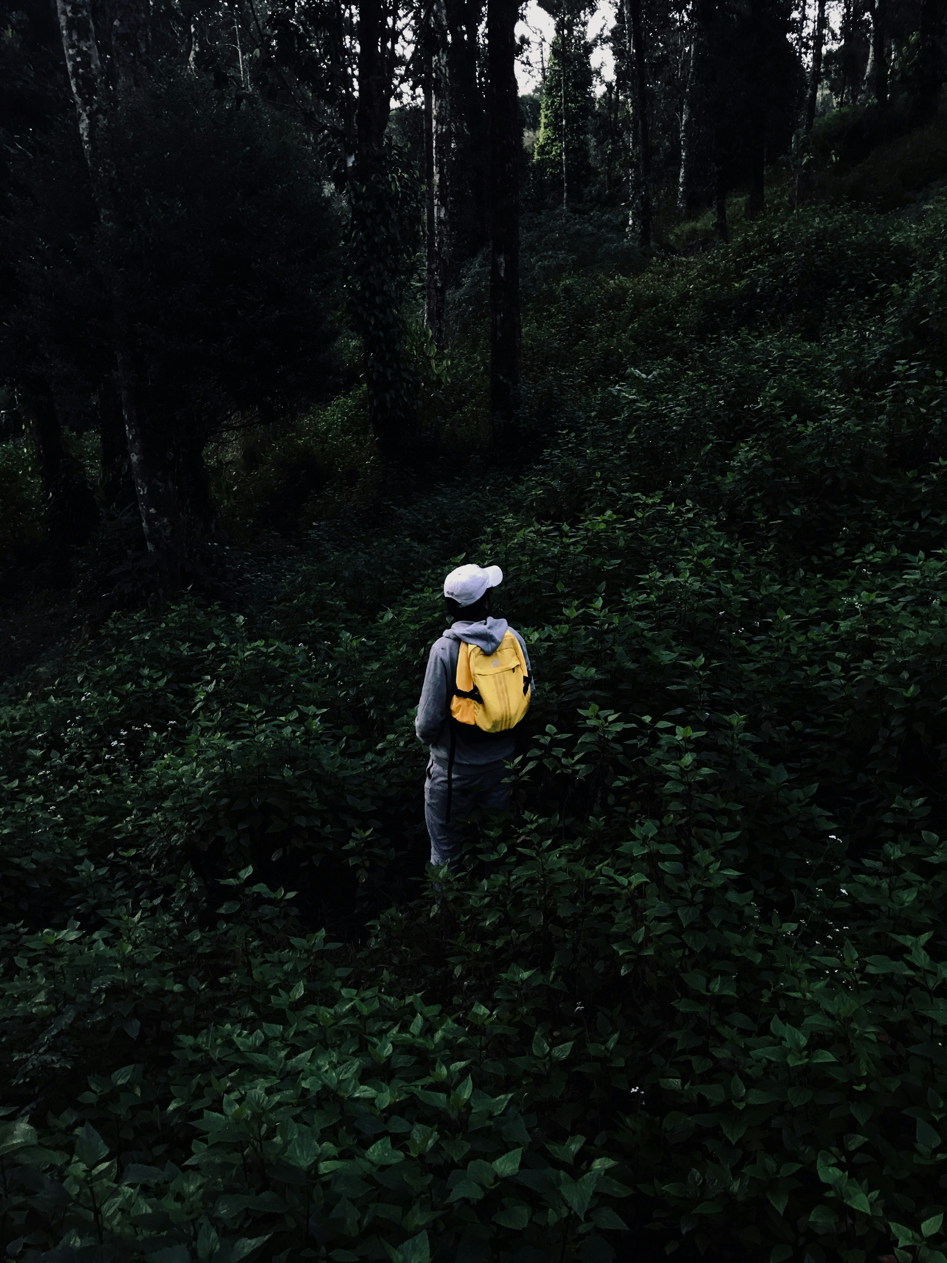 Photo by faheemshafi