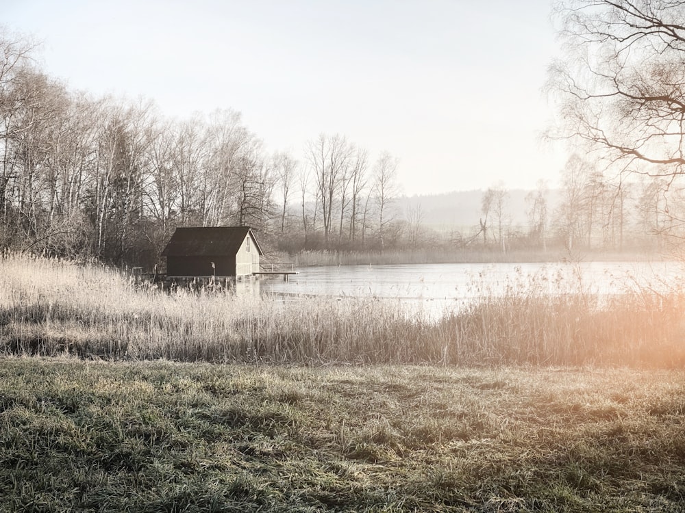 greyscale photography of bare trees beside brown hut and body of water