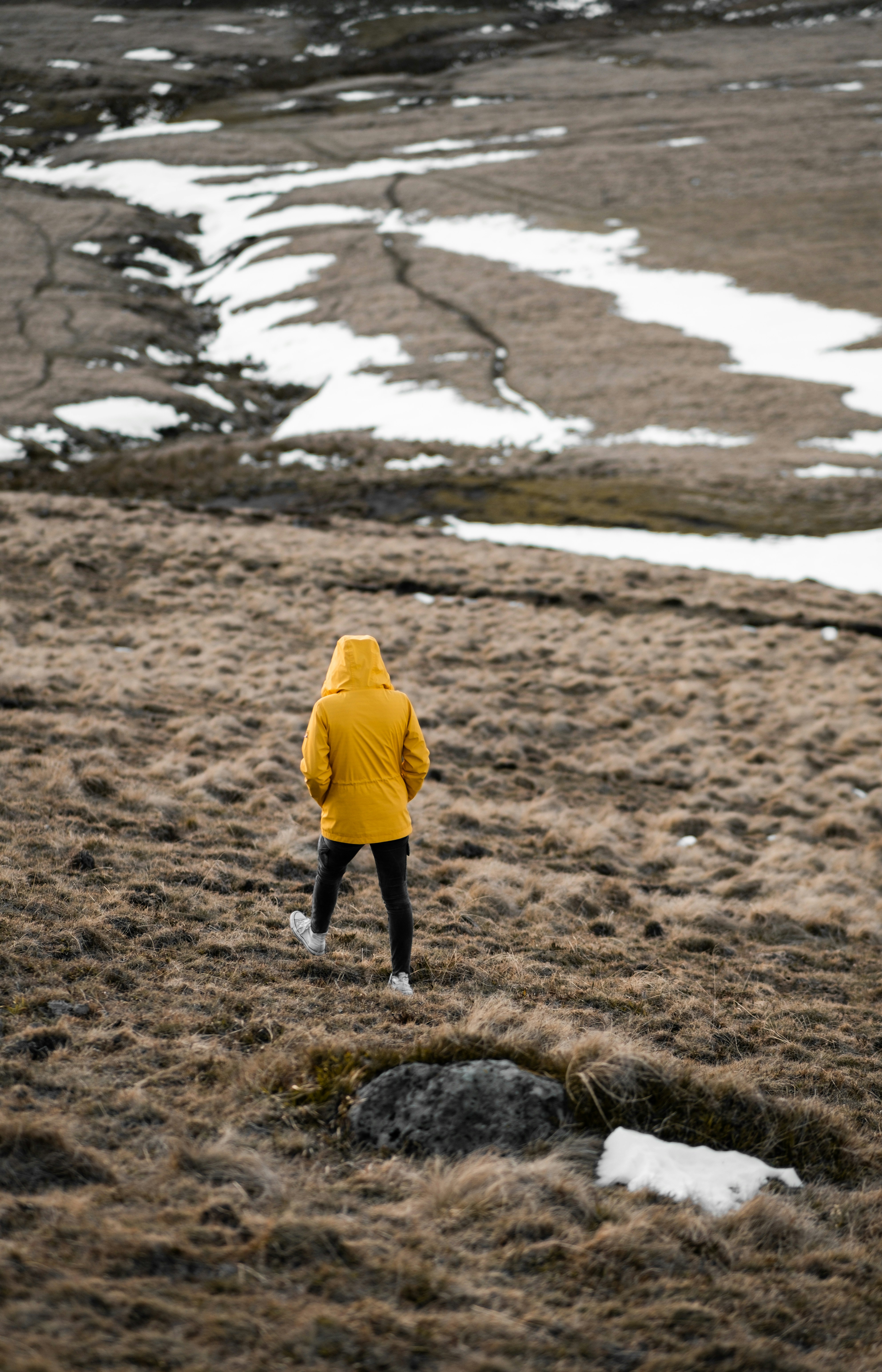 person wearing yellow hooded jacket walking on field during daytime