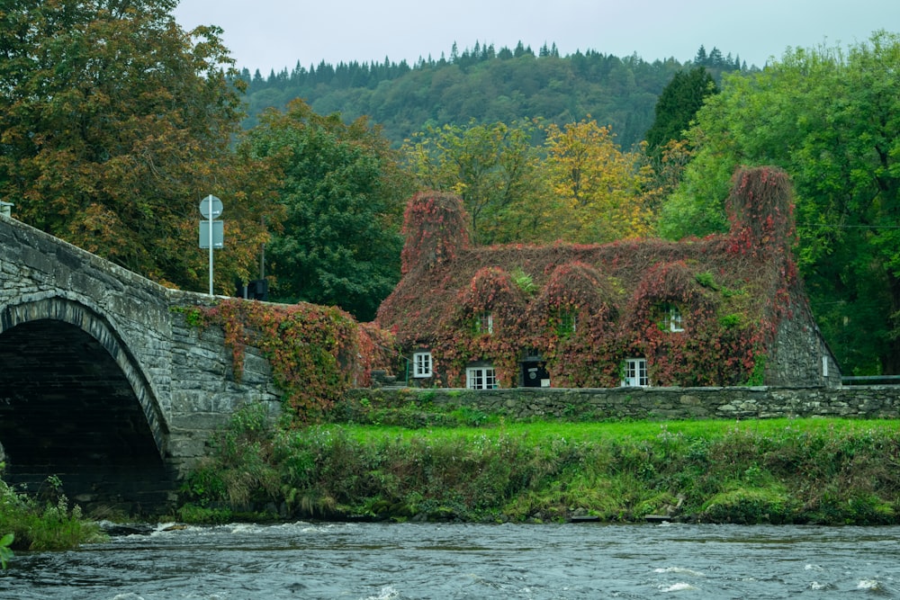 brown and green trees beside body of water during daytime