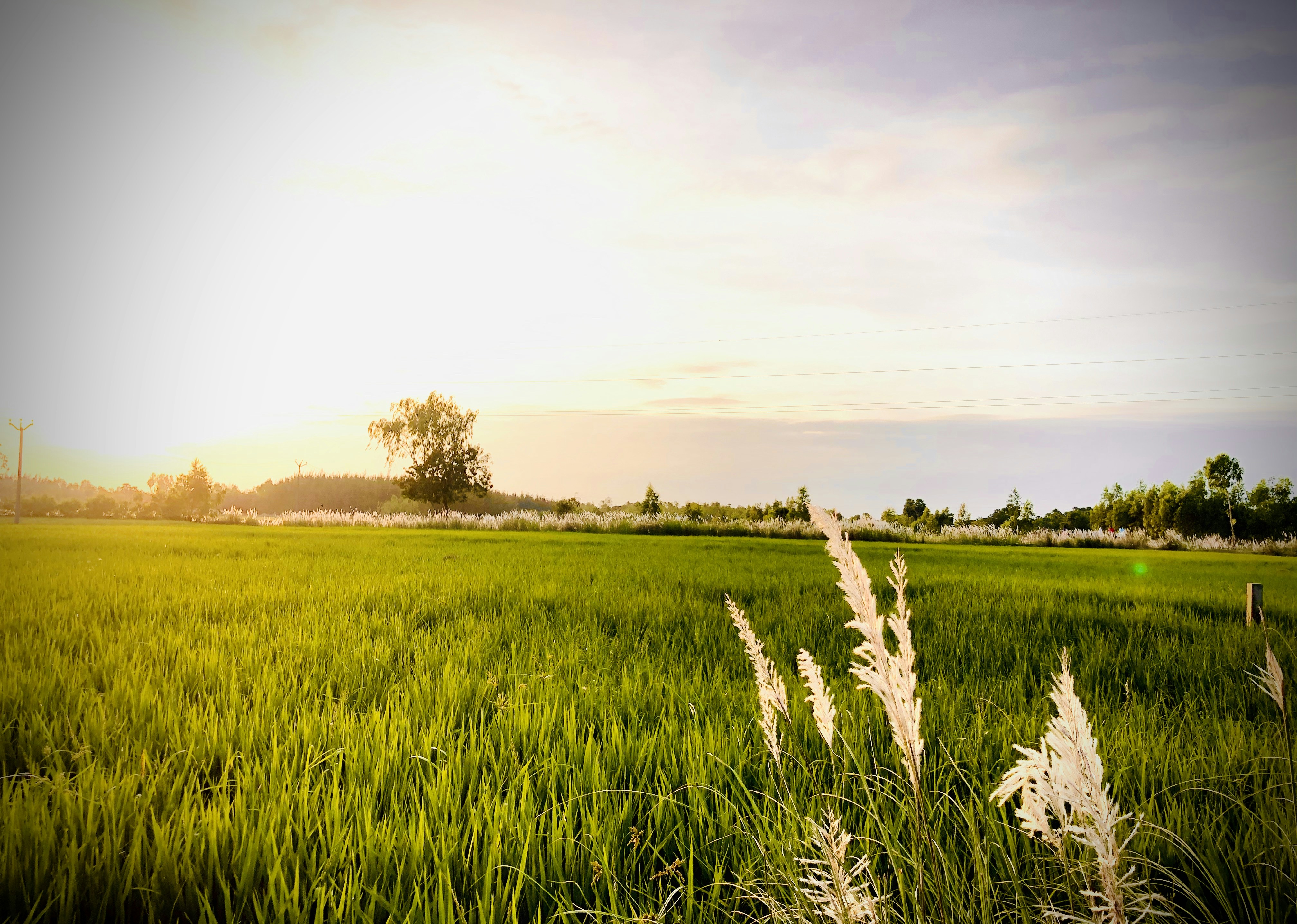 Photo by vijetha_surakanti