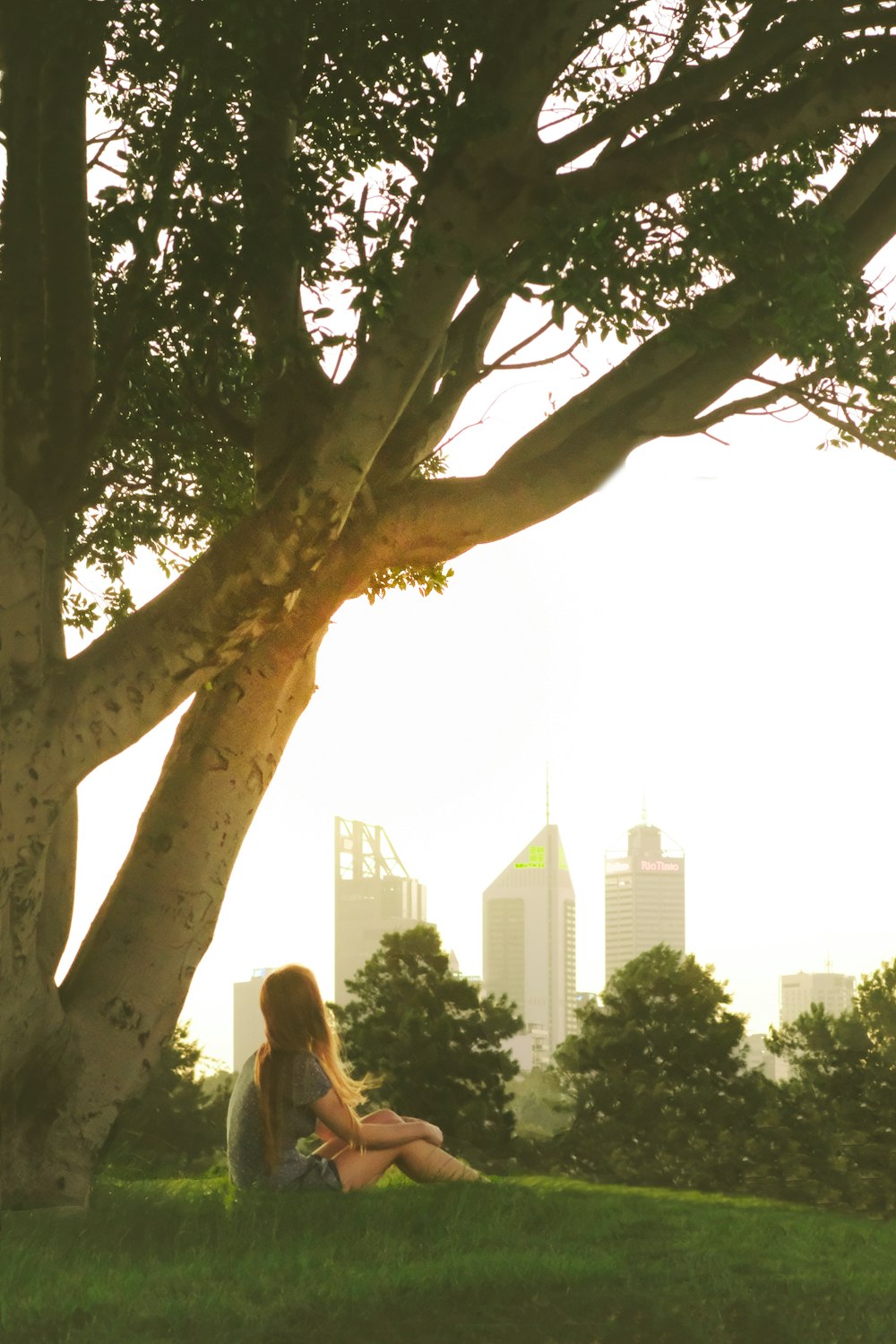 woman sitting on grass under tree