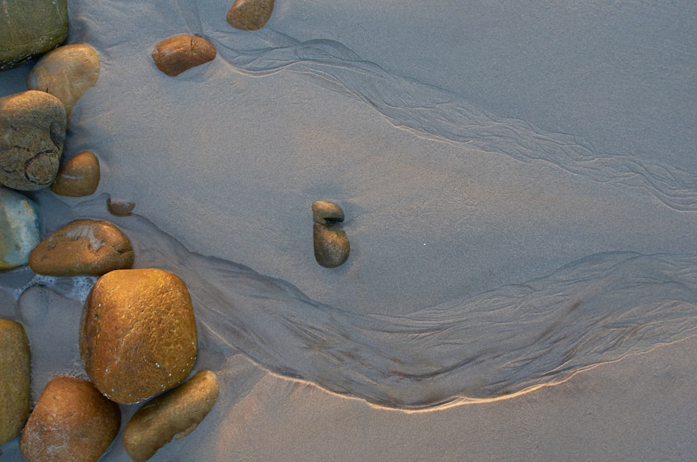 macro photography of brown stones