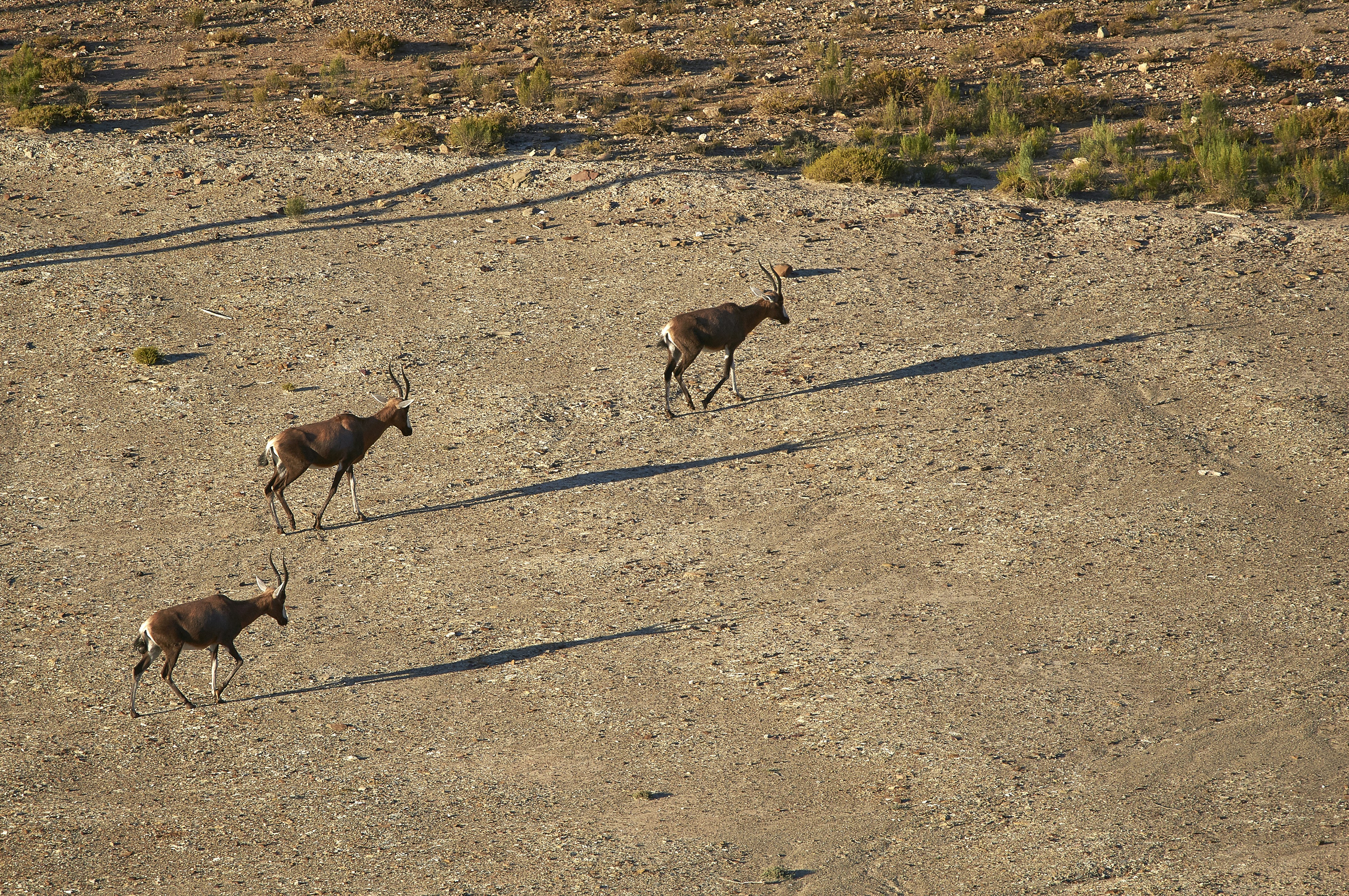 Photo by wolfgang_hasselmann