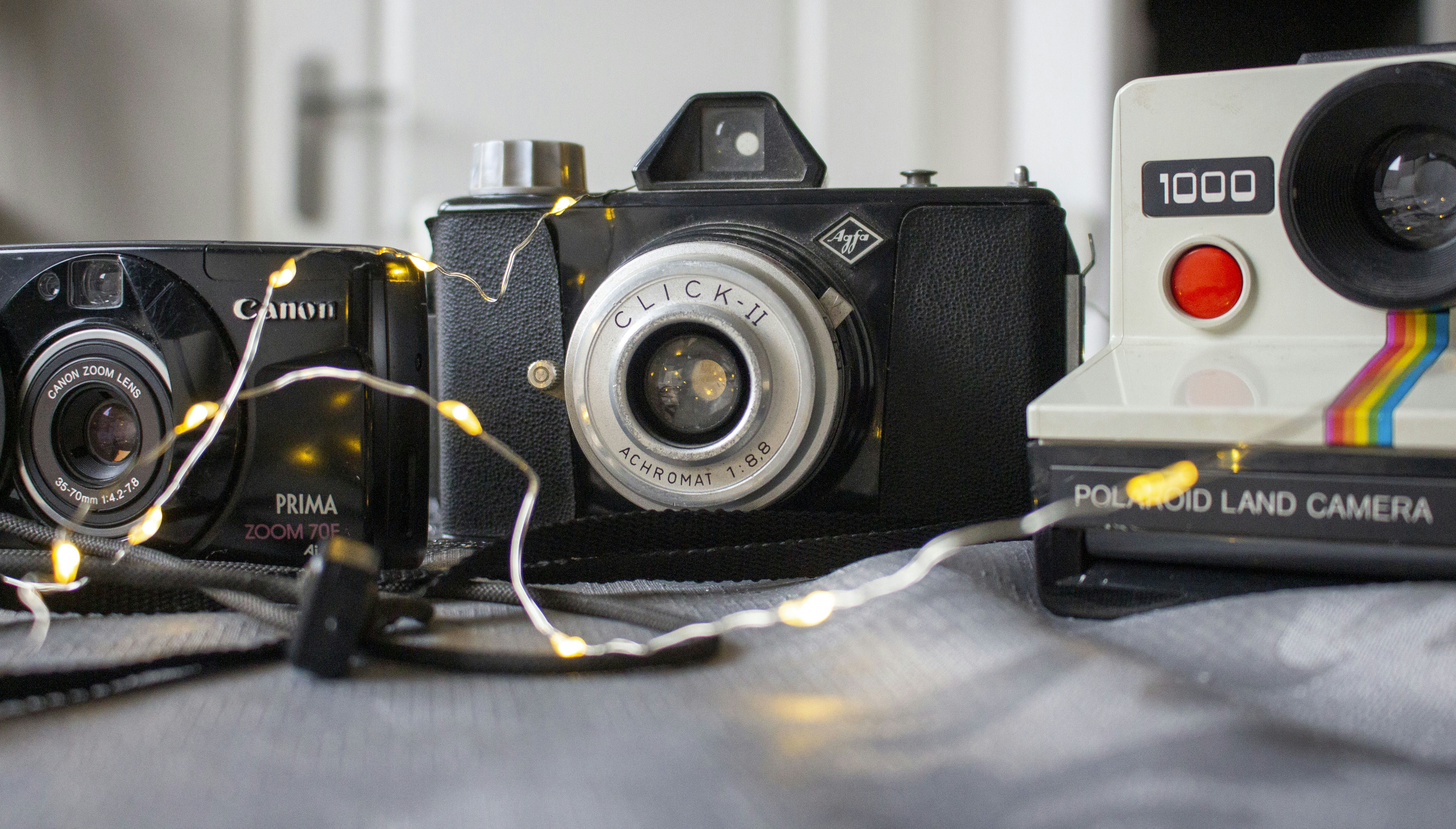 Photo by photographersdaughter