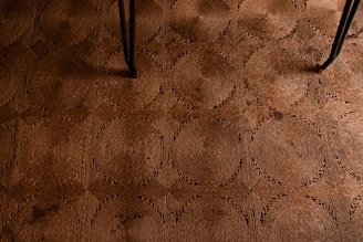 Mold Testing