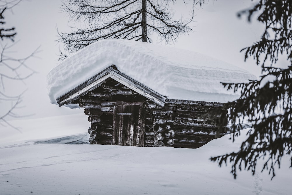 snow covered shed during daytime