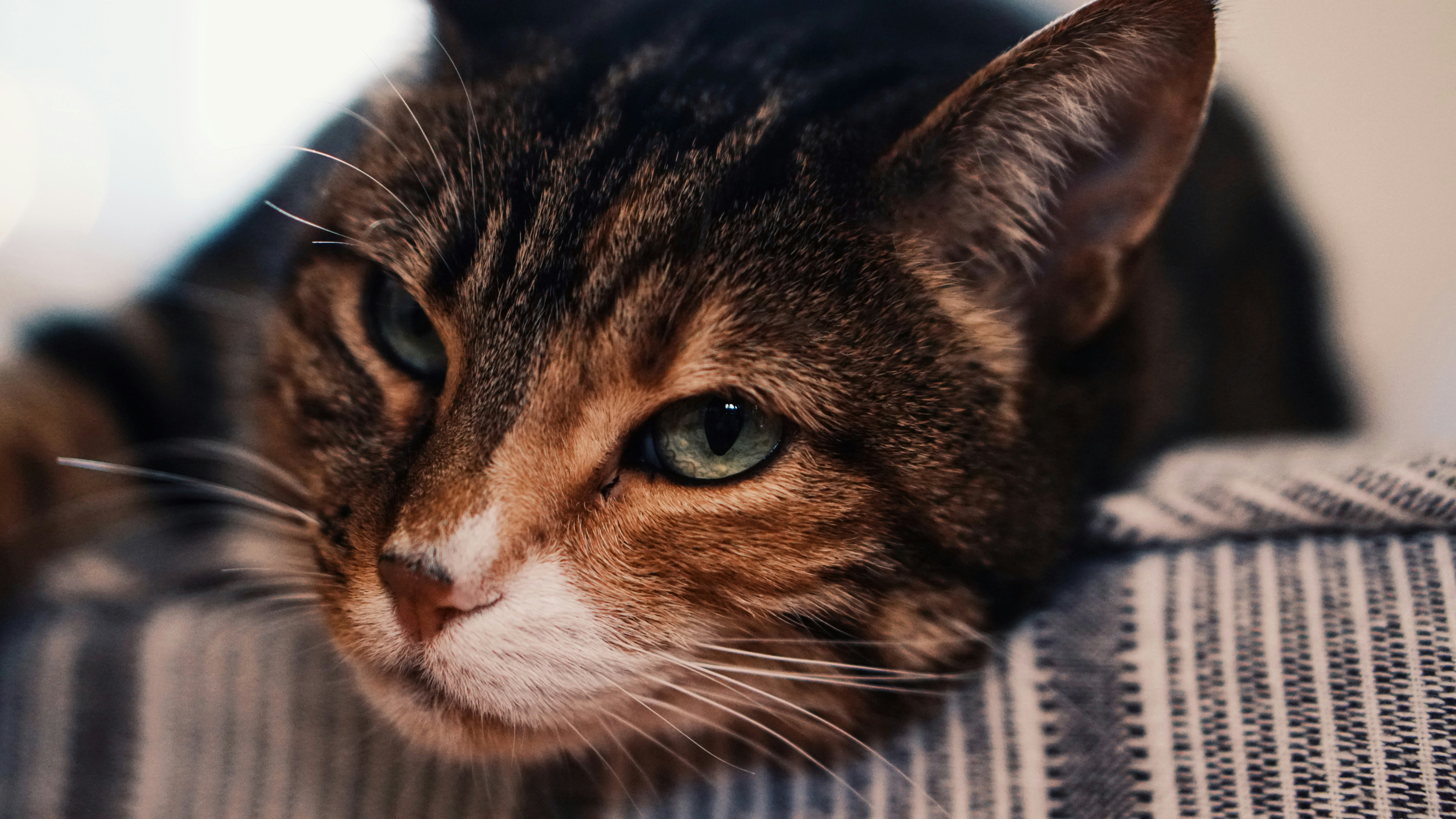 Photo by eternalseconds