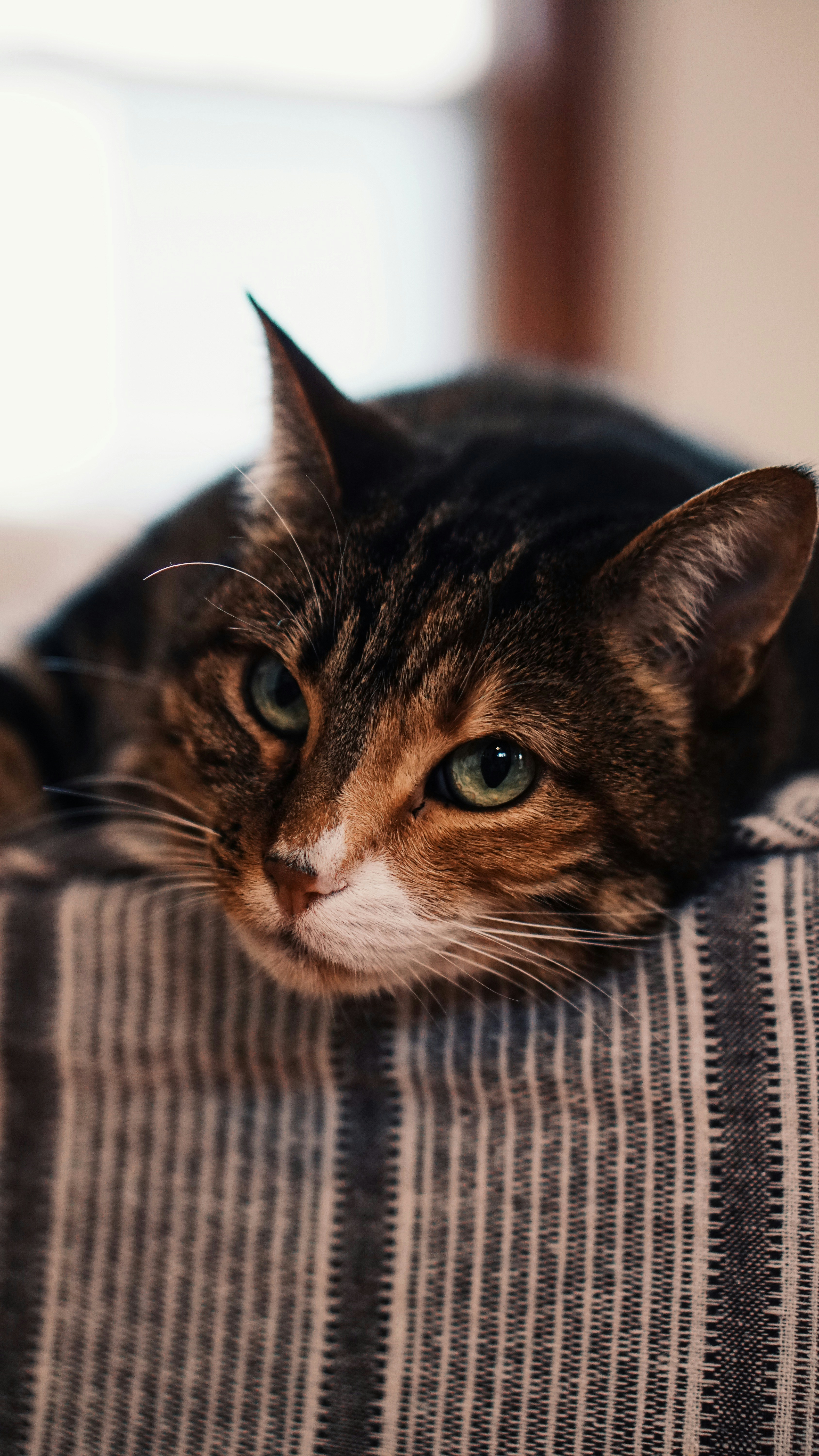 Photo by eternalseconds