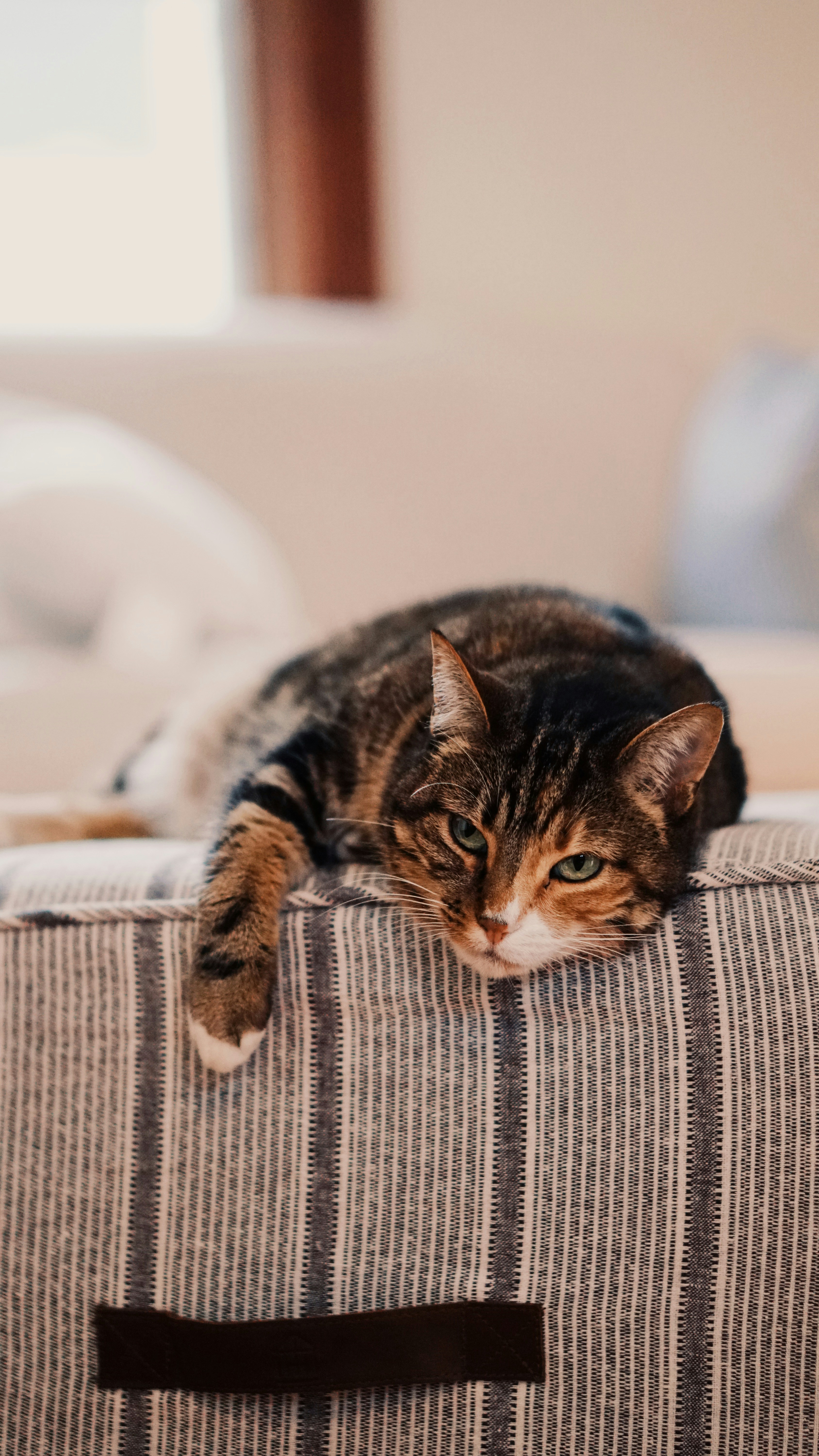 Photo by eternalseconds