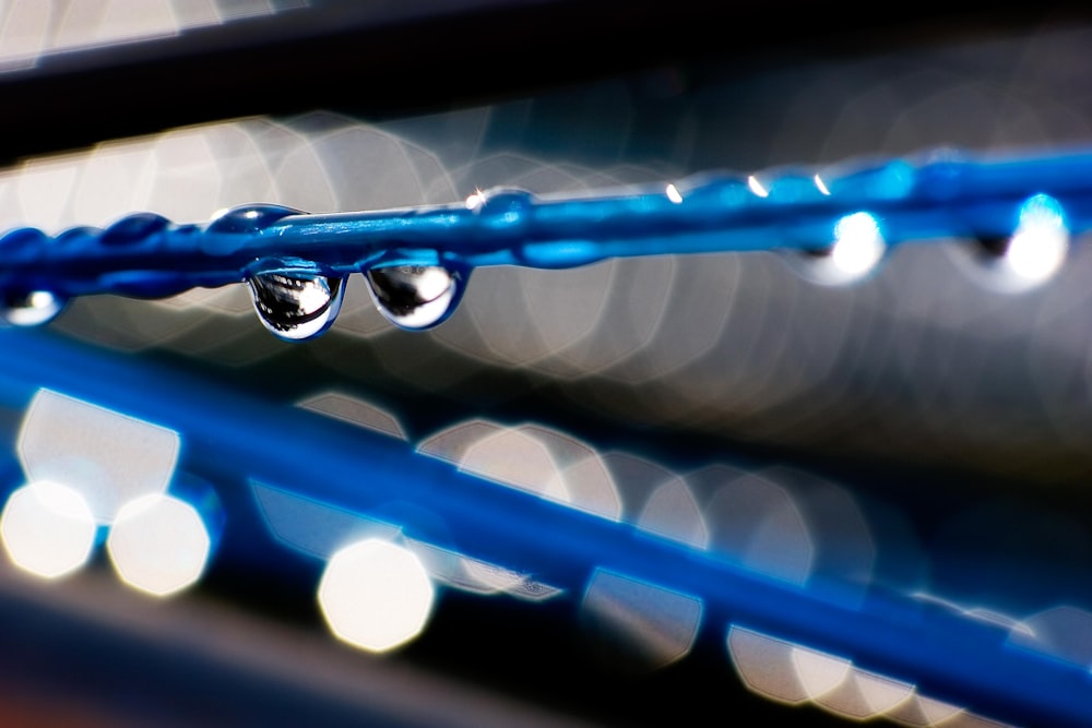 a close up of water droplets on a blue wire