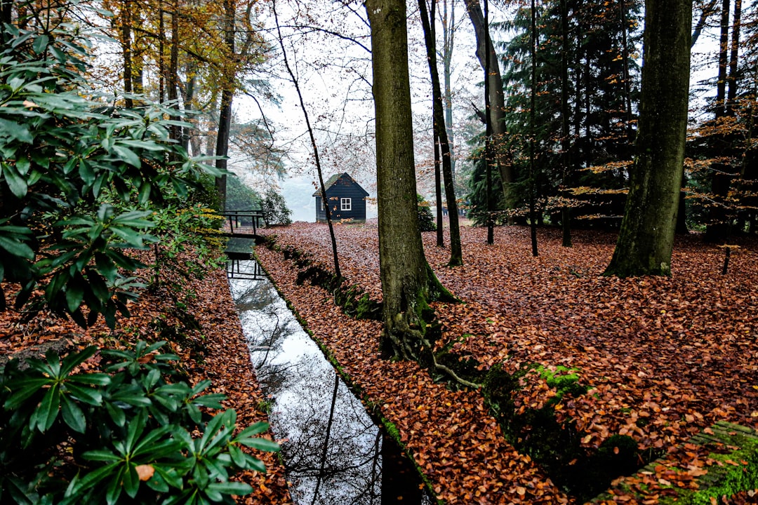 Forest photo spot Paleispark Castle Doorwerth