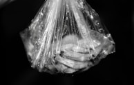A translucent plastic bag contains multiple shrimp, with their slender bodies and antennae visible through the wrapping. The entire scene is captured in black and white, emphasizing the texture of the bag and its contents.