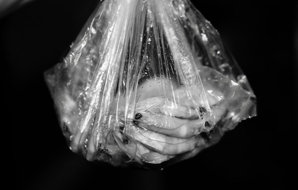 A translucent plastic bag contains multiple shrimp, with their slender bodies and antennae visible through the wrapping. The entire scene is captured in black and white, emphasizing the texture of the bag and its contents.