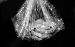 Frozen Shrimp Packs