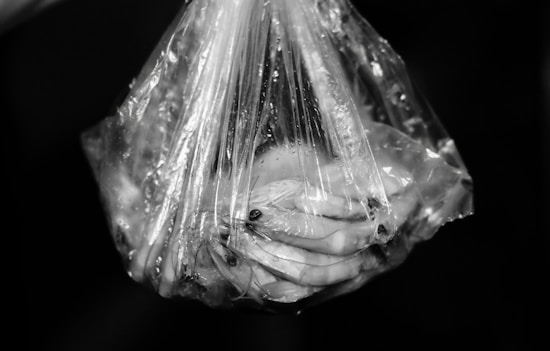 A translucent plastic bag contains multiple shrimp, with their slender bodies and antennae visible through the wrapping. The entire scene is captured in black and white, emphasizing the texture of the bag and its contents.