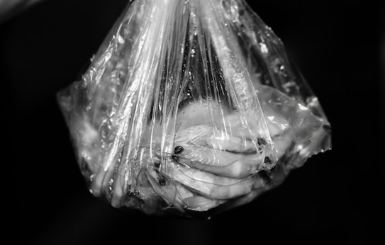 A translucent plastic bag contains multiple shrimp, with their slender bodies and antennae visible through the wrapping. The entire scene is captured in black and white, emphasizing the texture of the bag and its contents.