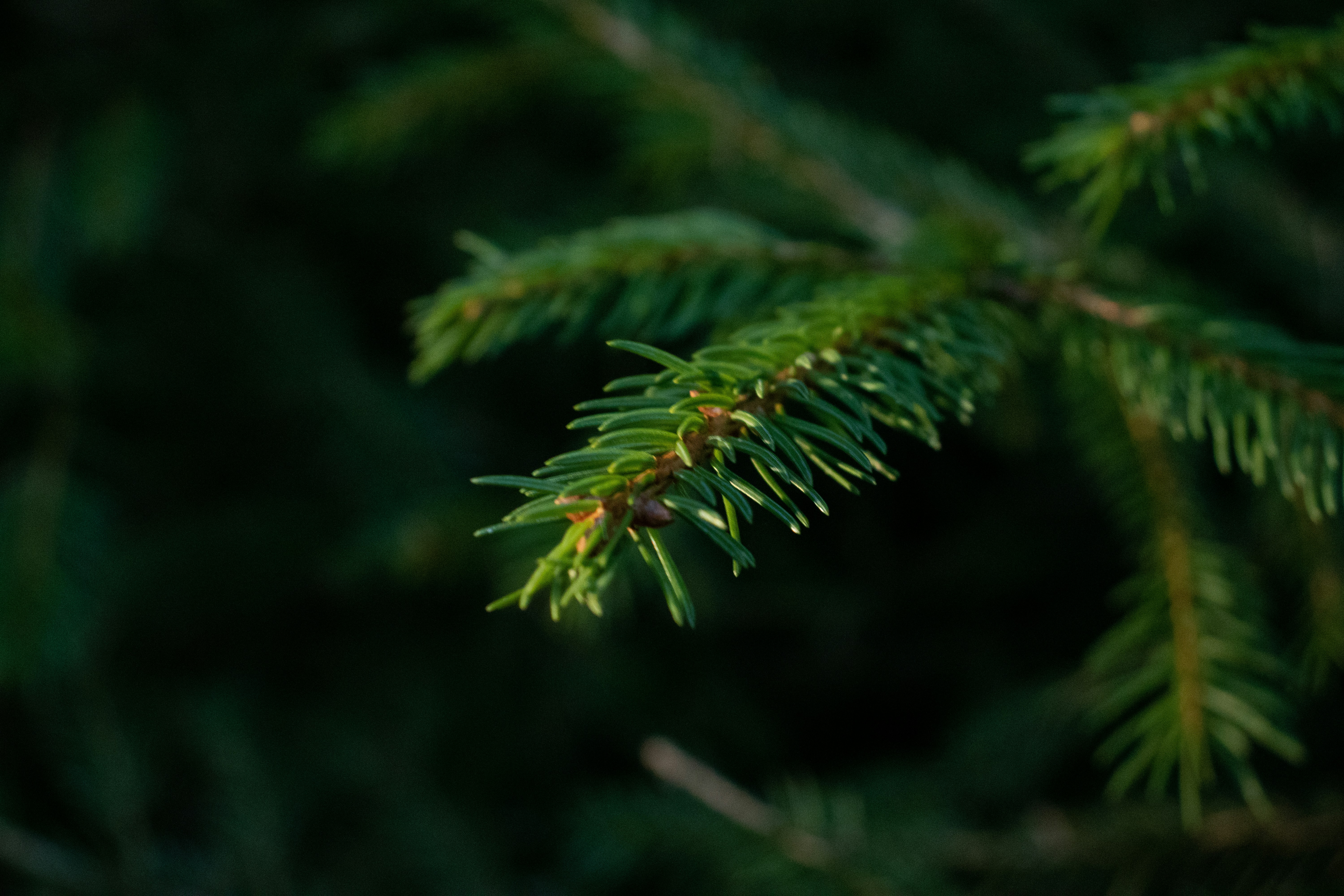 Photo by fabra_official