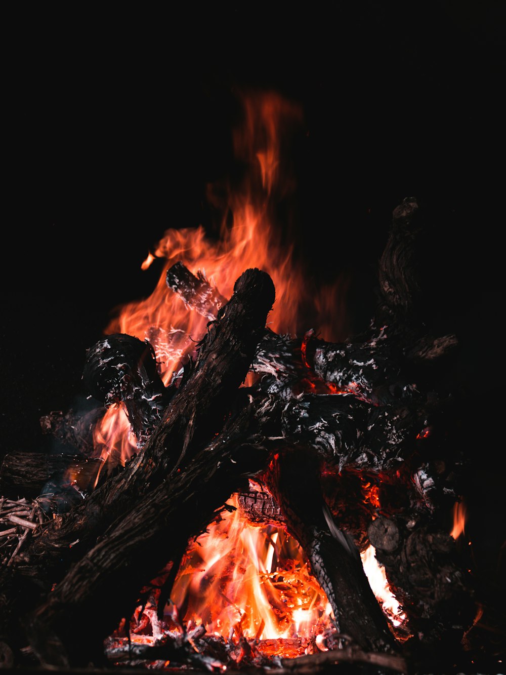 lit firewoods